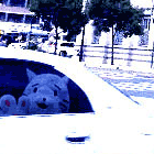 ※クリックで拡大